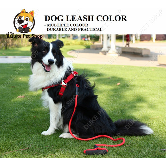Pet leash chest strap colorful solid color cat and dog rope traction dog chain