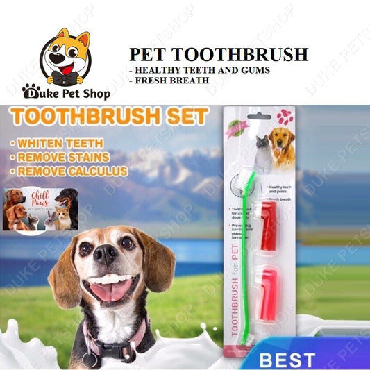 Pet Dog Cat Toothbrush