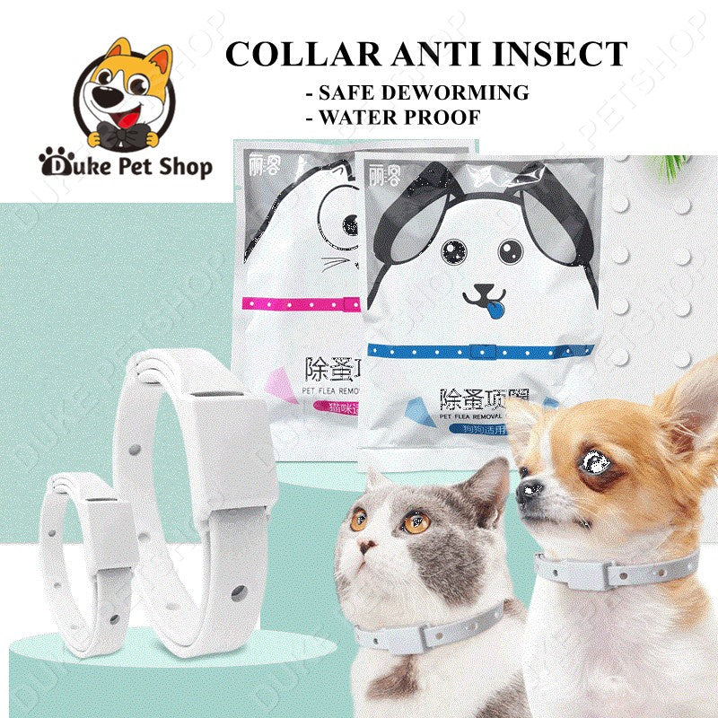 Dog Collar Cat Collar Pet Collar Lasting Protection Anti Insect Flea Tick Collar for Pet Dog Cat