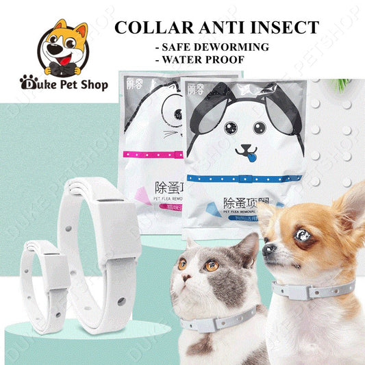 Dog Collar Cat Collar Pet Collar Lasting Protection Anti Insect Flea Tick Collar for Pet Dog Cat